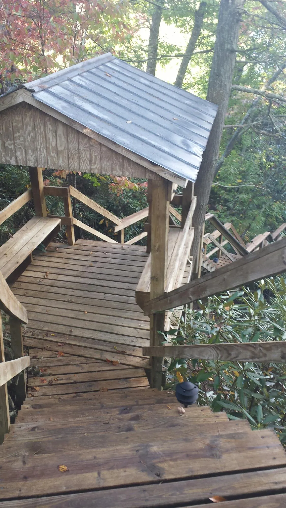 Metal roofed shelter over wooden steps on a wooded walkway — Skylight Repair & Installation work by our crew in Bella Vista